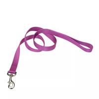 Coastal Single-Ply Dog Leash Orchid  I012267b