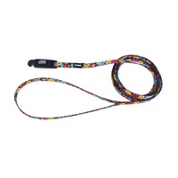Coastal&#174; Li&#39;l Pals&#174; Patterned Dog Leash with E-Z Snap&#174; 5/16&quot; x 6&#39; Wild Flower I006619