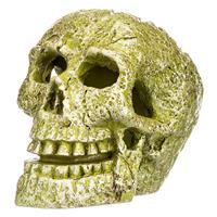 GloFish Ornaments Skull I007434