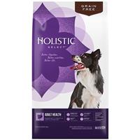 Holistic Select Grain Free Adult Health Deboned Turkey &amp; Lentils Recipe Dog Food 26lb Bag I010093