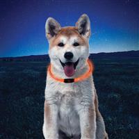 NiteHowl LED Safety Necklace Orange I010512