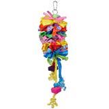 Prevue Pet Products Calypso Creations Short Stack I010870