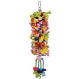 Prevue Pet Products Calypso Creations Club I010871