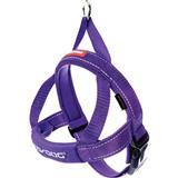 EzyDog Quick Fit Harness Purple I011087b