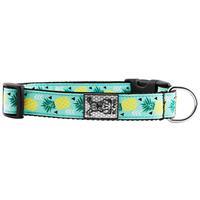 RC Pet Products Pineapple Parade Clip Collar  I011219b