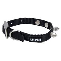 Coastal Lil’ Pals Spiked Nylon Dog Collar  I012212