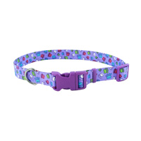 Coastal Adjustable Dog Collar with Buckle Special Paws 3/8&quot;x 8&quot;-12&quot;  I012410