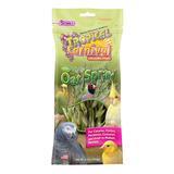 FM Brown&#39;s Tropical Carnival&#174; Natural Oat Spray For Pet Birds 2.5 oz. Bag I012612