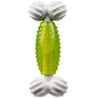 Canine Clean Spearmint Bone 5in I013283