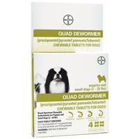 Bayer Quad Dewormer Small Dog 4Pk I013425