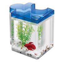 Aqueon Betta Puzzle Kit Blue .5 gal I013743