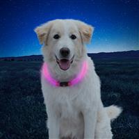 NiteHowl LED Safety Necklace Pink I014544