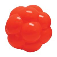 Hueter Toledo Orange Molecule Dog Toy 4 in. I014636