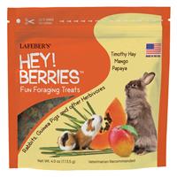 Hey! Berries Fun Foraging Treats 4 oz. I015147
