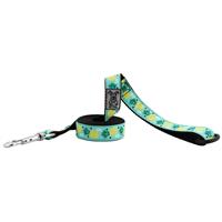 RC Pet Products Pineapple Parade Lead I015981b