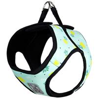 RC Pet Products Pineapple Parade Step In Cirque Harness  I015985b