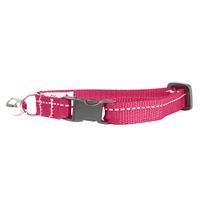 RC Pet Products Primary Kitty Breakaway Collar Raspberry  I017391