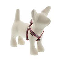 Lupine El Paso Step In Harnesses I017426b