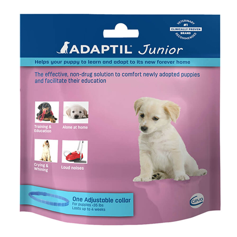 Dog Training Crates Care A Lot Pet Supply