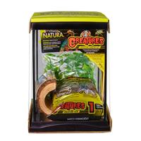 Zoo Med Creatures Creature Habitat Kit 3 Gallon I017619
