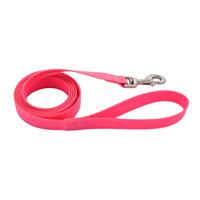 Coastal Pro Waterproof Leash Fuscia 6&#39; X 1&quot; I018714
