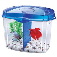 Aqueon Betta Bowl Kit Blue .5 gal Z01590501206