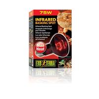Exo Terra Infrared Basking Reptile Spot Lamp 75W 120V 21206