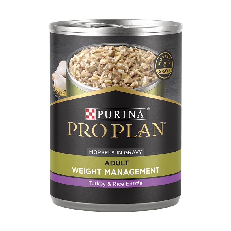 Purina Pro Plan Adult Weight Management Turkey &amp; Rice Entree Morsels in Gravy Wet Dog Food 13 oz.