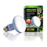 Exo Terra Daylight Basking Spot 100w I001283