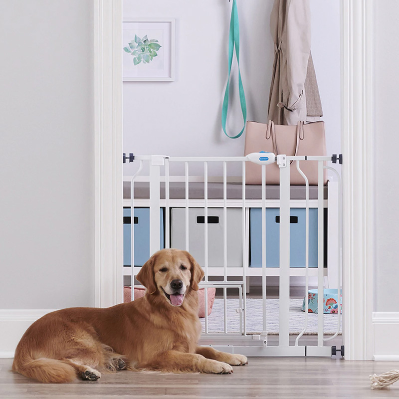 Carlson Extra Wide Walk Thru Gate with Small Pet Door I015643