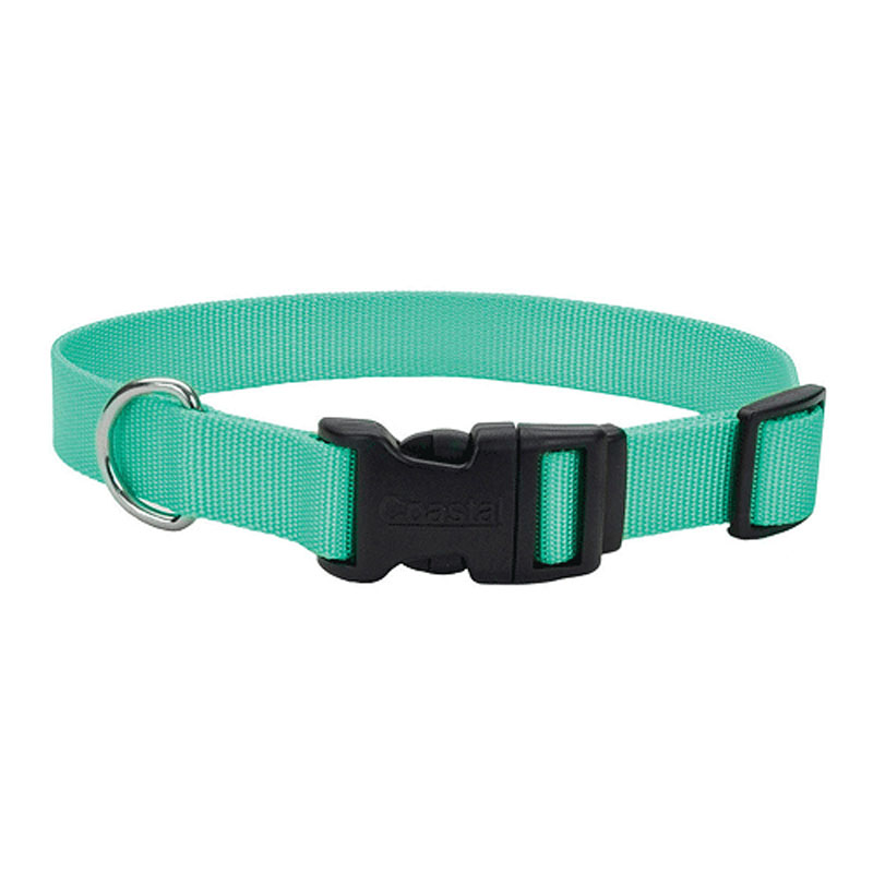 Costal Adjustable Teal Tuff Buckle I018901