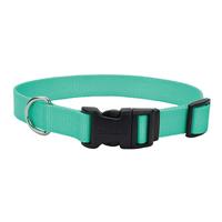 Coastal Teal Tuff Buckle Collar 3/8&quot; x 8-12&quot; I018899