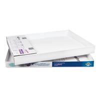PetSafe Litter Box Tray Refill with Sensitive Crystals 3 pk. I020571