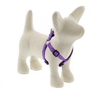 Lupine Jelly Roll Step In Dog Harness I020806b
