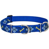 Lupine Dapper Dog Martingale Combo Collar I020823b