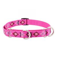 Lupine Puppy Love Martingale Combo Collar I020826b