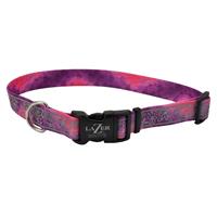 Coastal Lazer Brite Pink with Flowers Patterned Collar I020939b