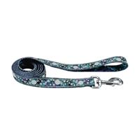 Coastal Lazer Brite Galaxy Patterned Leash I020941b