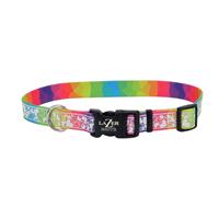 Coastal Lazer Brite Rainbow with Hearts Patterned Collar I020937b