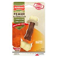 Nylabone Power Chew Femur Alternative  I021933b