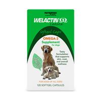 Welactin Canine Softgel OMEGA-3 Supplement for Dogs 120 Count I023361