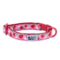 Rc Pet Products Kitty Breakaway Collar Strawberries I024030