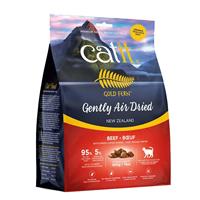Catit Gold Fern Beef I024950