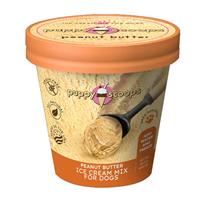 Peanut Butter Ice Cream Mix 4.65oz I025902