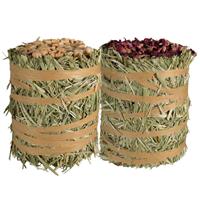 Kaytee Field+Forest Mini Hay Bale Apple &amp; Rose 2 pk I026424