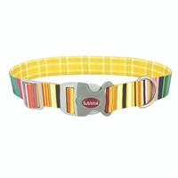 Coastal Sublime Stripe Gold Plaid 3/4 x 8-12  I026895