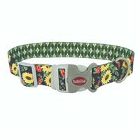 Coastal Sublime Sunflower Argyle Collar 3/4 x 8-12 I026901