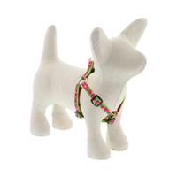 Lupine Petunias Step In Dog Harness I027355b