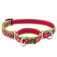 Lupine Petunias Martingale Combo Collar I027359b