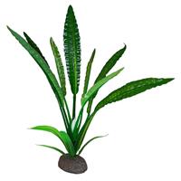 Fluval Betta Premium Water Trumpet Plant